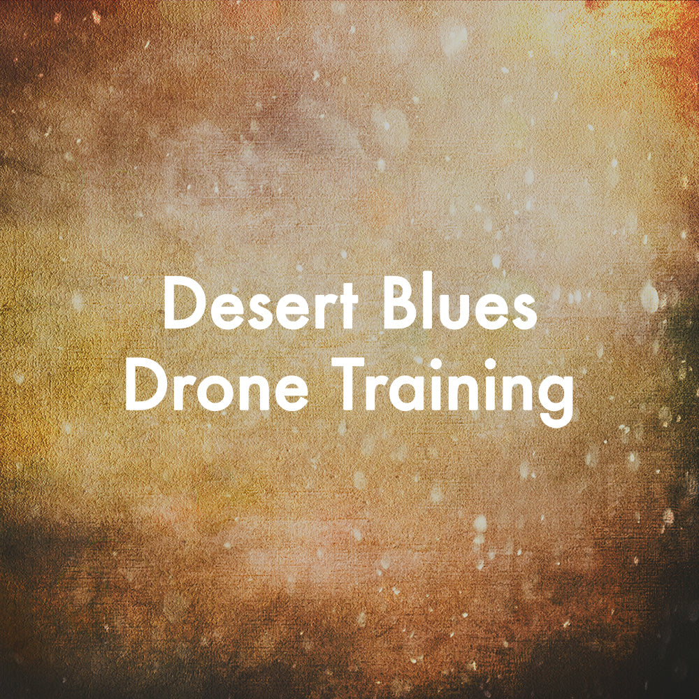 Desert Blues Drone Training