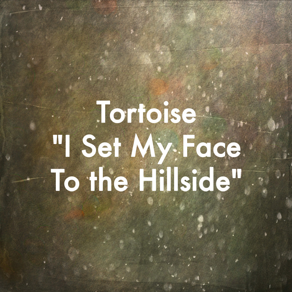 Tortoise "I Set My Face to the Hillside"