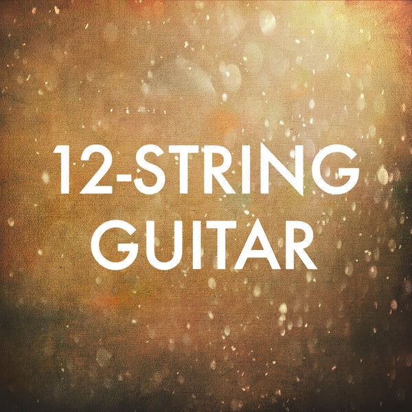 12String Guitar Tagged "Alternate Tunings" Eric Haugen Guitar